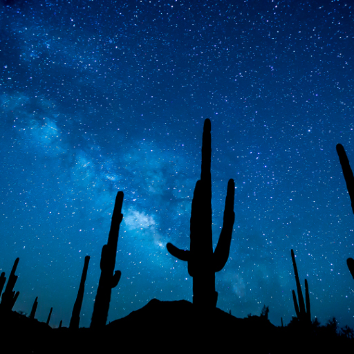 February #conservationlands15 Social Media Takeover: Top 15 Places on National Conservation Lands for Night Sky Viewing